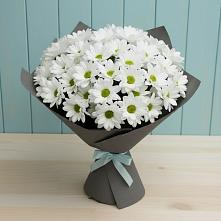 Букет цветов из:  Хризантемы #REPLACE_PRED# Егерухай