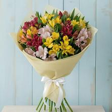 Букет цветов из:  Альстромерии #REPLACE_PRED# Егерухай